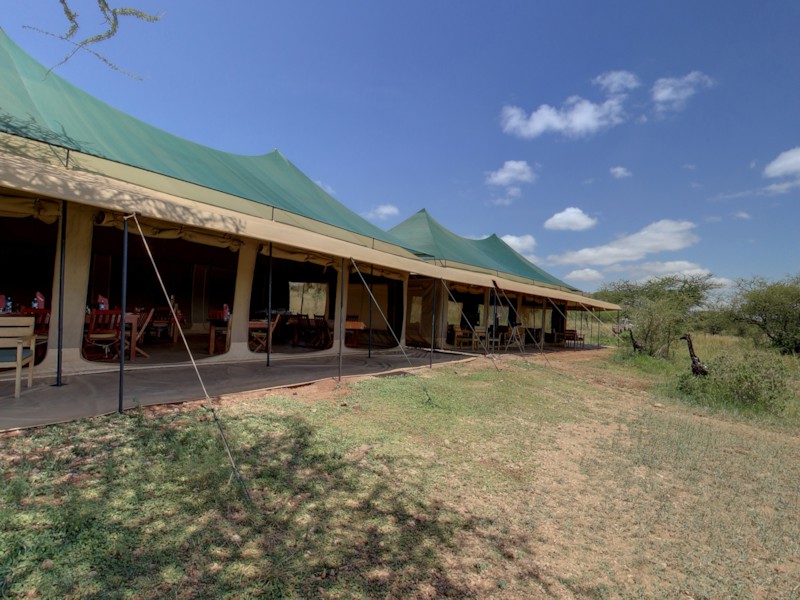 Serengeti-ChakaKiota